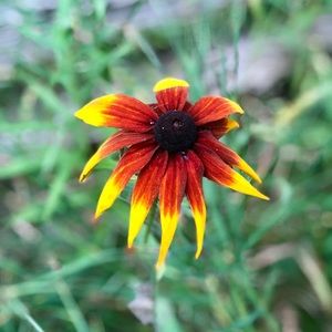 Meet your Posher, Kara